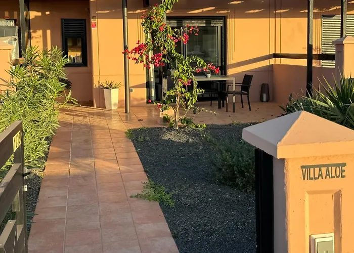 Aloe * Лахарес